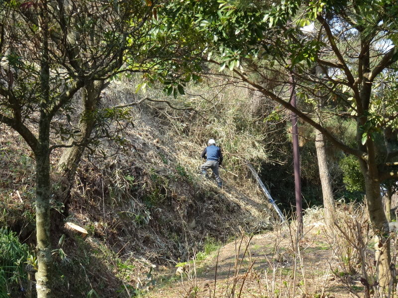 c0108460_17270972.jpg