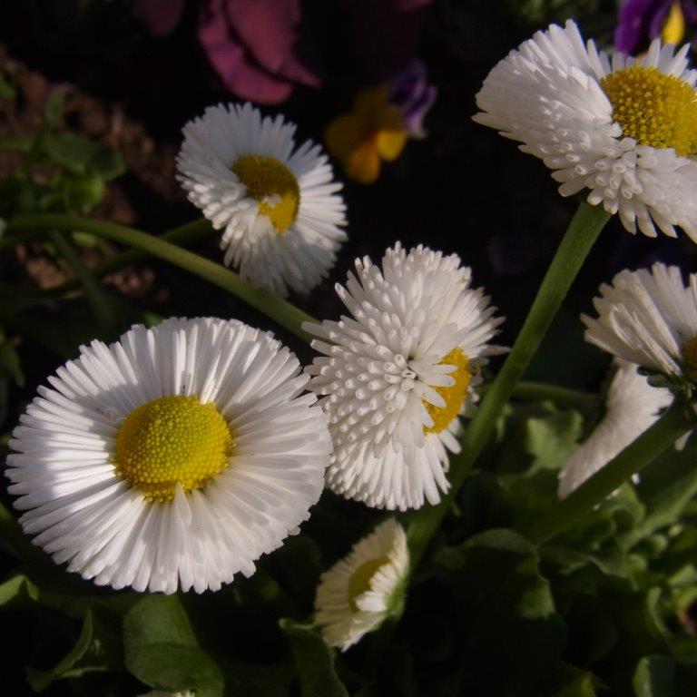 a0123465_1294632.jpg