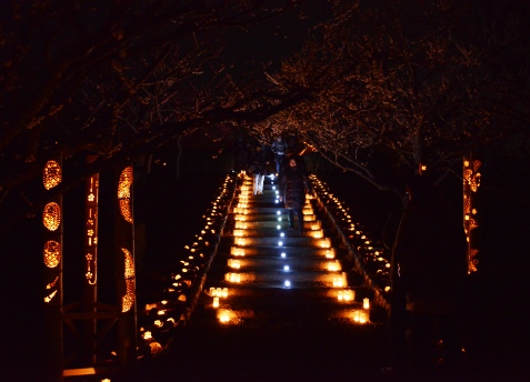 趣味の写真・・・岩本山公園　　　静岡県富士市_b0105374_213323.jpg