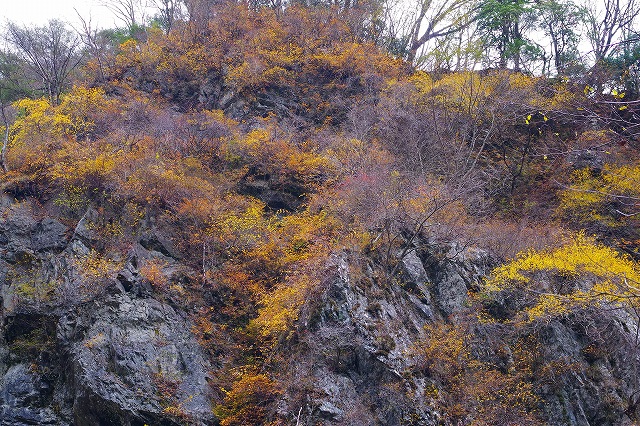 c0324983_22352760.jpg