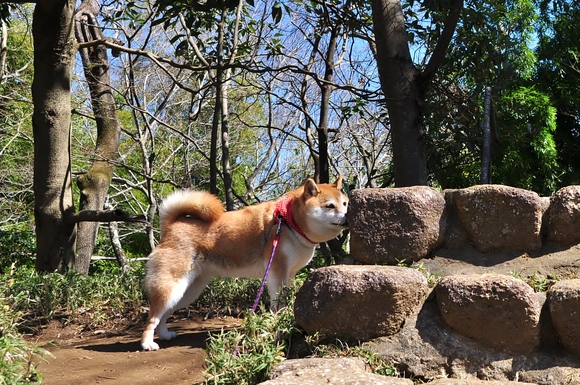 やる気になった!_a0126590_059691.jpg