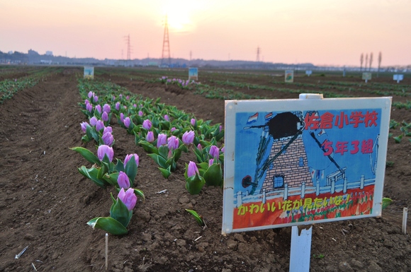 待つ楽しみ_a0126590_22183557.jpg