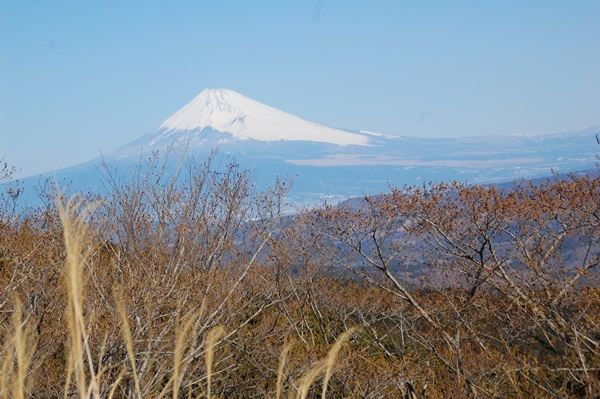 d0153294_2134555.jpg