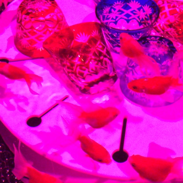 コレド室町で今年一番のお花見!!_f0083294_14272771.jpg