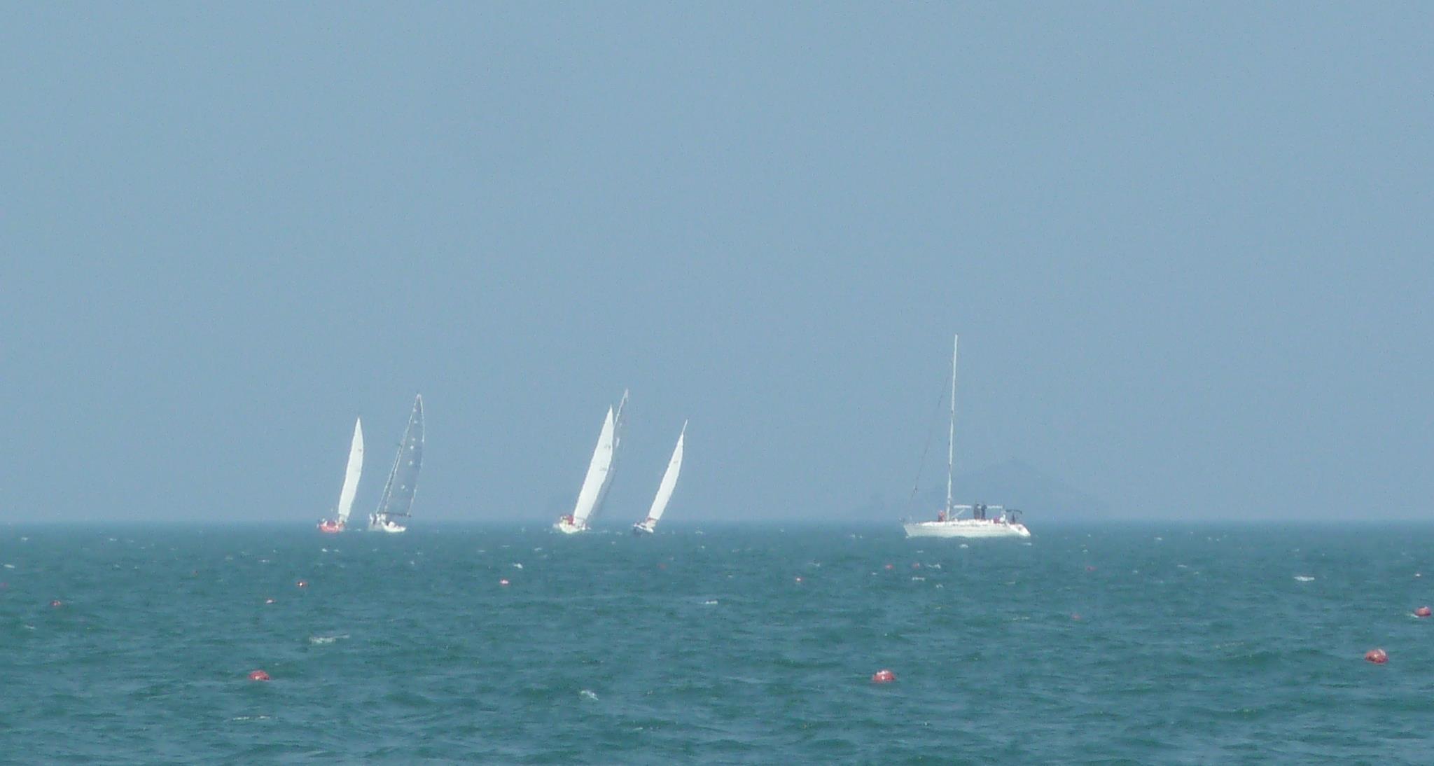 f0166694_17309.jpg