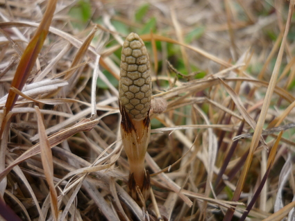 d0162995_15244490.jpg