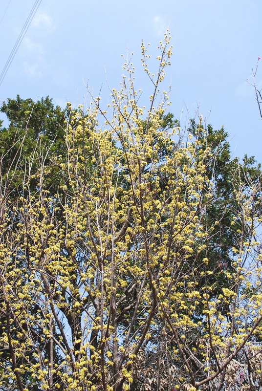 e0025300_18241323.jpg