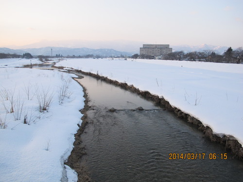 最上川・松川河畔へ散歩、３月１７日（２）_c0075701_8592744.jpg