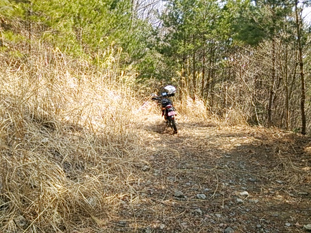 c0030607_163558.jpg
