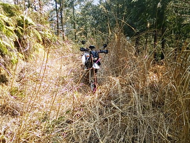 c0030607_1683229.jpg