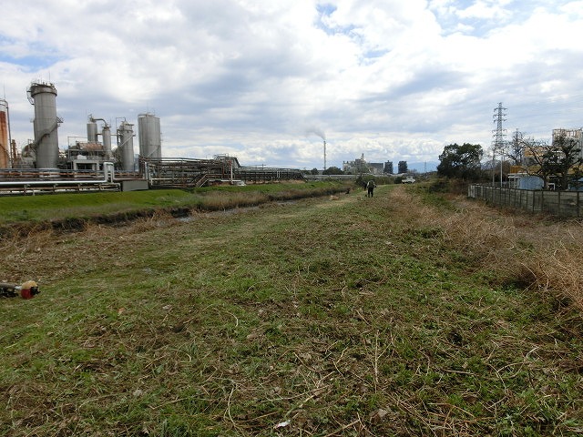 「お花見ウォーク」に向けた今年最初の「滝川の土手普請」_f0141310_7293642.jpg