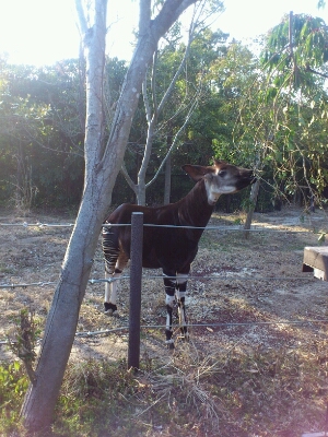 c0207113_0493623.jpg
