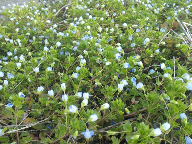 e0033713_16351476.jpg