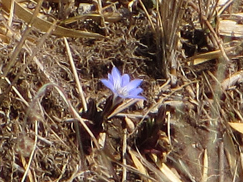 e0293913_221725100.jpg