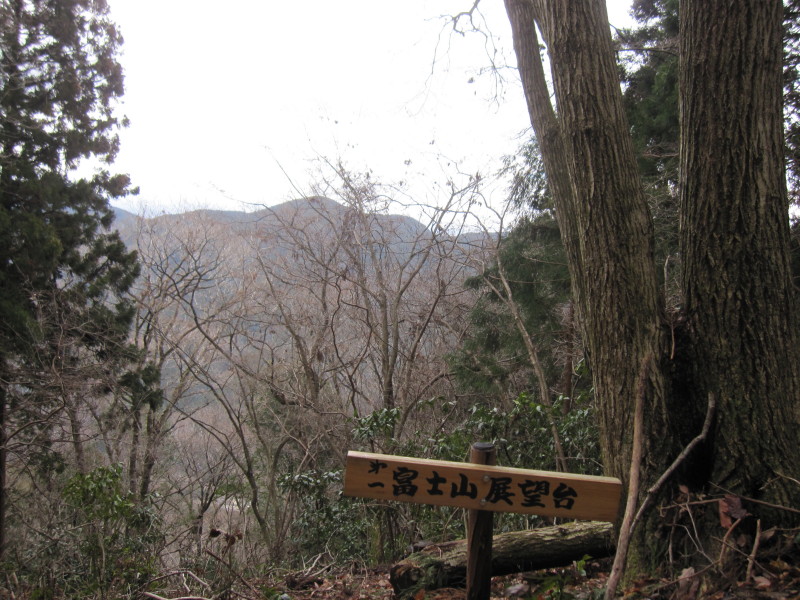 富士山を眺めに♪_d0103314_21565435.jpg