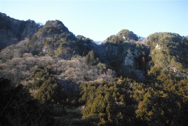 a0127015_19419.jpg