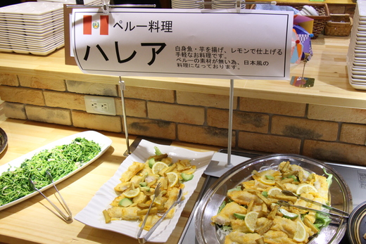 岐阜県・ペルー交流協会 年次会_d0063218_11571826.jpg