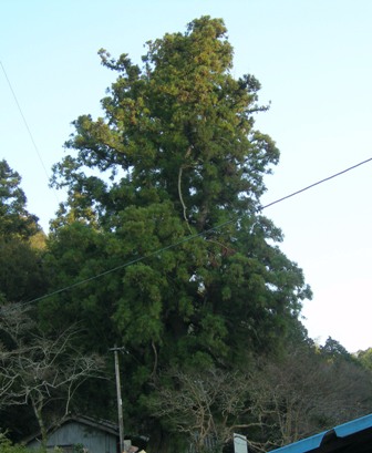 f0213825_17254019.jpg
