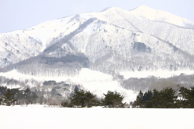 ３月１６日（日曜日）　グリーンゲイブルス_a0045932_2021784.jpg