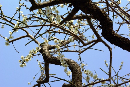 c0051032_15564770.jpg