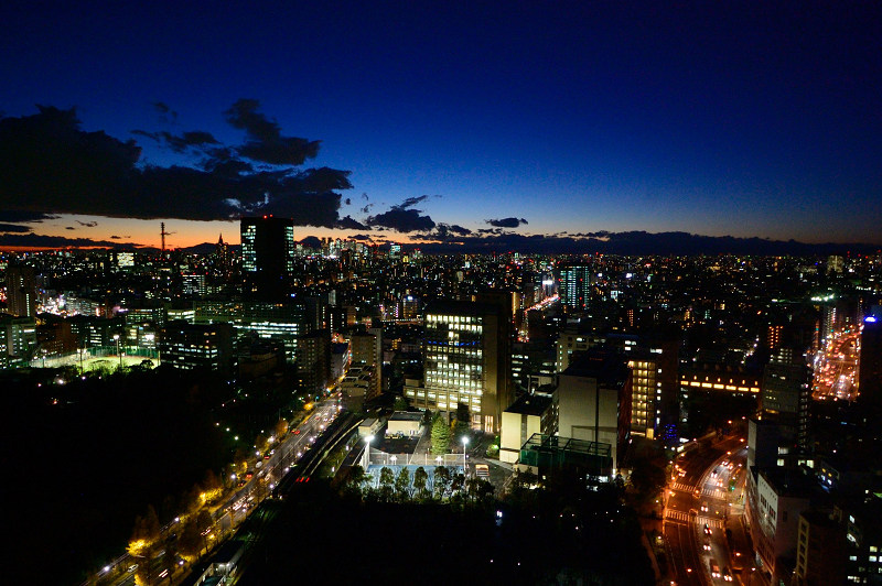 文京シビックセンターの夜景_a0224334_223666.jpg