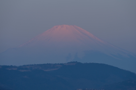 2014年3月16日　権現山東　紅富士_c0314839_19215222.jpg