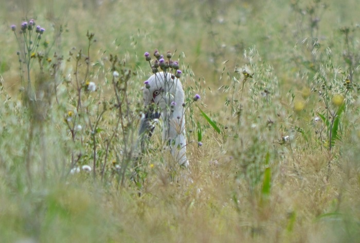 b0288942_14261724.jpg