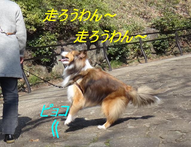 ぽかぽか陽気で公園満喫_e0195743_0132160.jpg