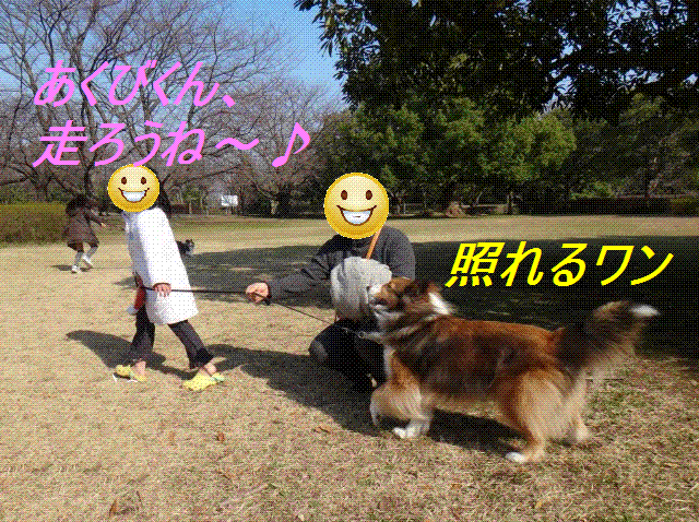 ぽかぽか陽気で公園満喫_e0195743_020671.gif