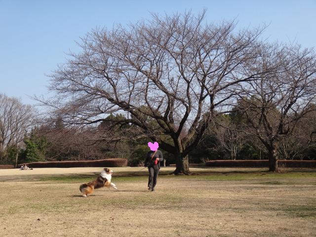 ぽかぽか陽気で公園満喫_e0195743_0225522.jpg