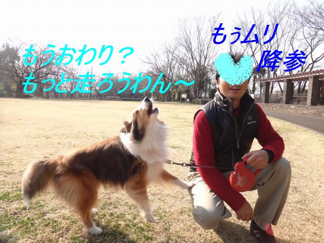 ぽかぽか陽気で公園満喫_e0195743_0261412.jpg