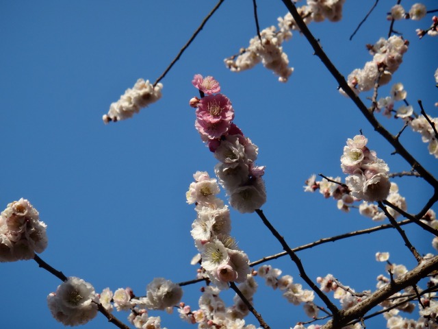 ぽかぽか陽気で公園満喫_e0195743_0273365.jpg
