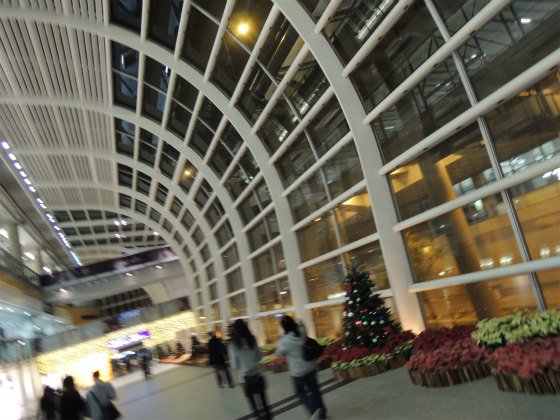 e0248743_7555549.jpg