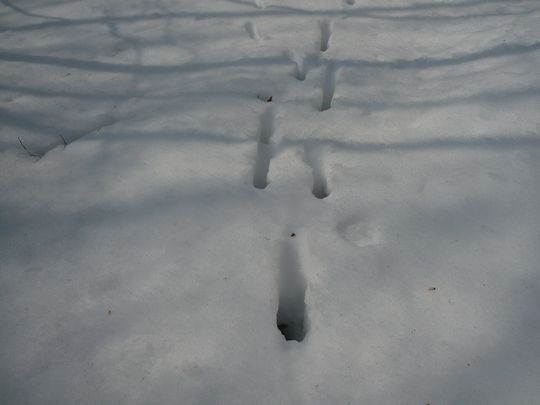 f0090444_22373082.jpg