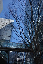 S -最後の警官- 最終回_e0080345_17045031.jpg