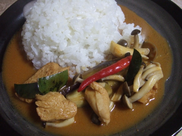 Complete Recipe Mix Red Curry_e0231646_22413329.jpg