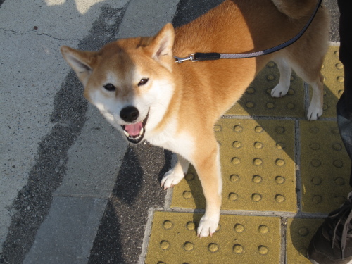 f0245650_09434738.jpg