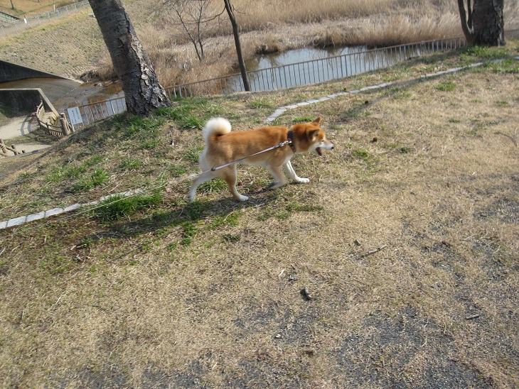f0245650_09581528.jpg
