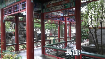 今週の配信予定映画は「Sato VideoII」_b0115553_07093826.png