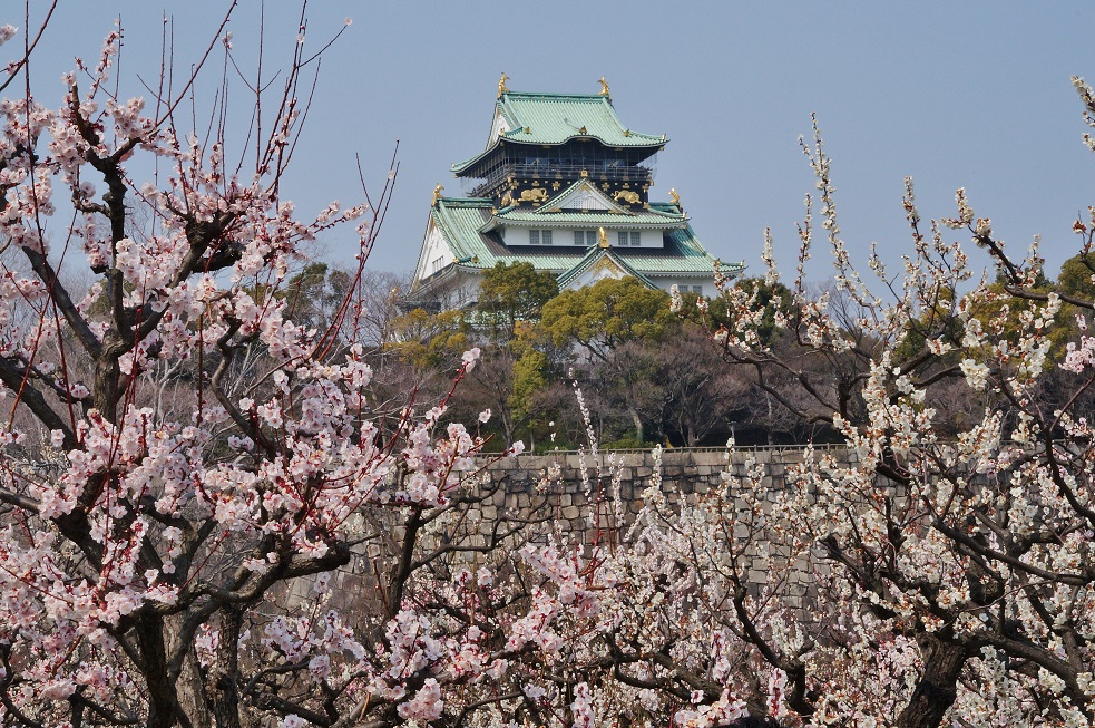 大阪城梅林の梅_b0063958_17251371.jpg