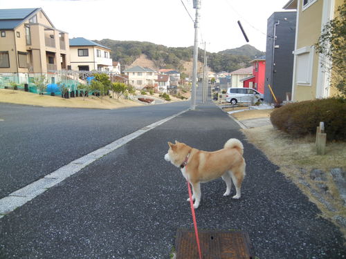 ’14,3,17(月)お天気が良い日は外仕事!_f0060461_10505619.jpg
