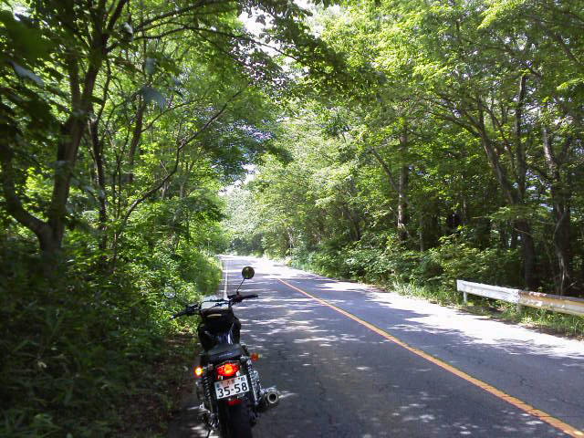 f0208665_1059710.jpg