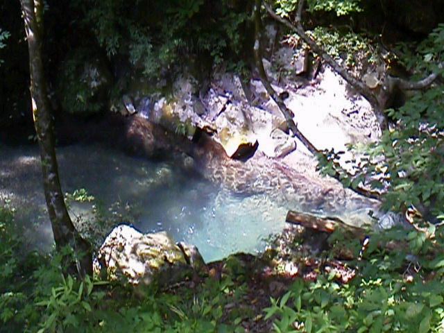 f0208665_1059795.jpg