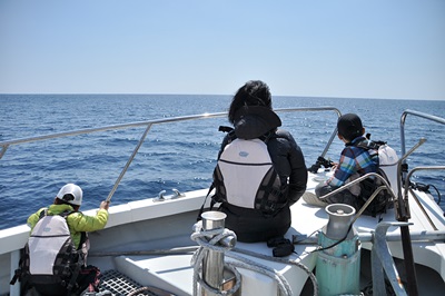 「クジラ一斉調査」_b0033573_21252995.jpg