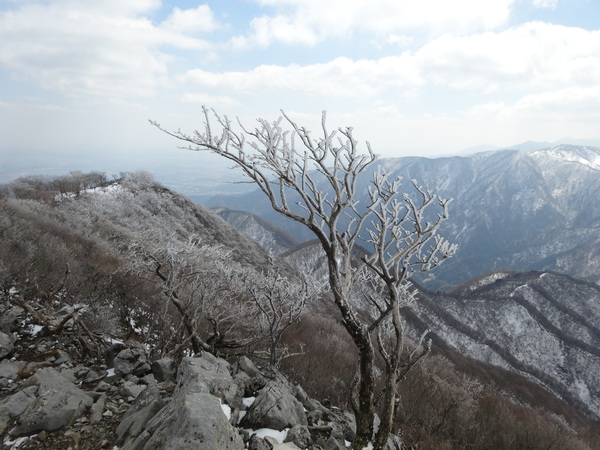 c0066176_93971.jpg
