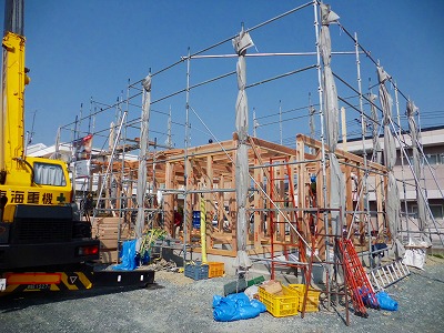d0205883_828261.jpg