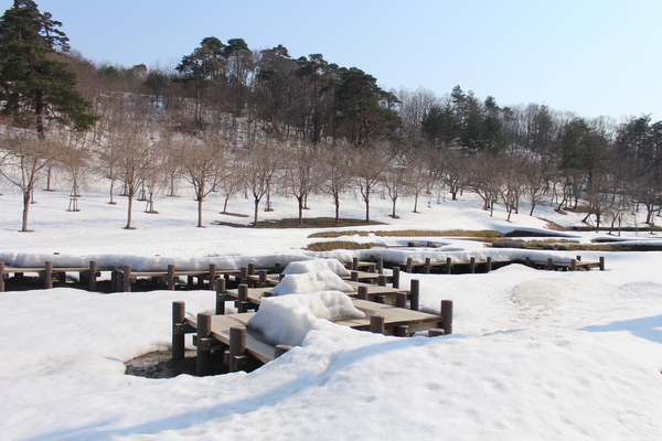 まだ雪がありました_a0101185_171475.jpg