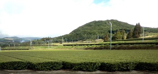a0287486_946381.jpg