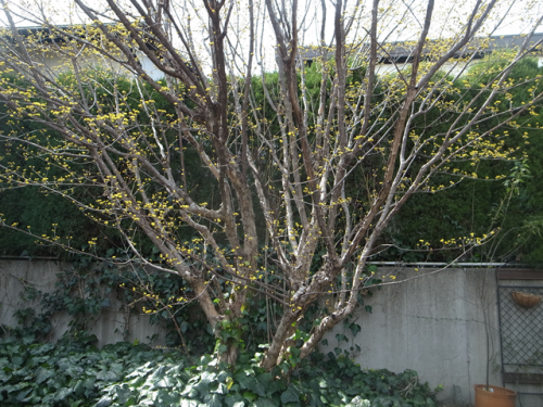 e0271890_09182295.png