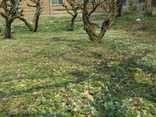 e0271890_23391972.png